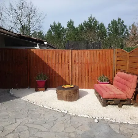 Bassin D'arcachon - - Appartement