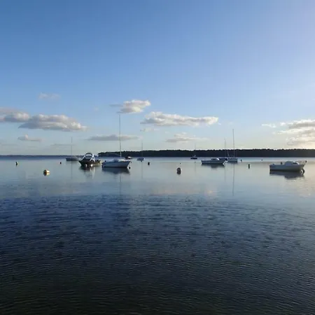 Bassin D'arcachon - - Ares