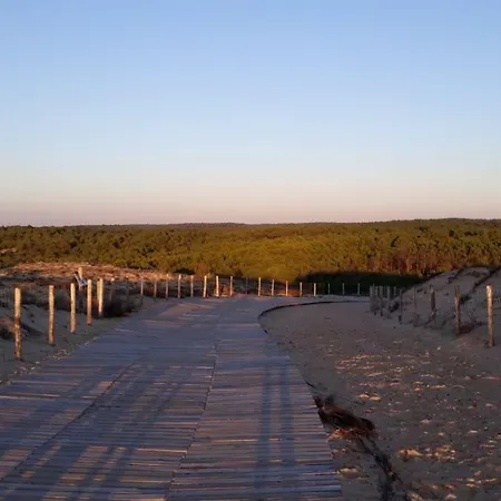 Bassin D'arcachon - - * Ares