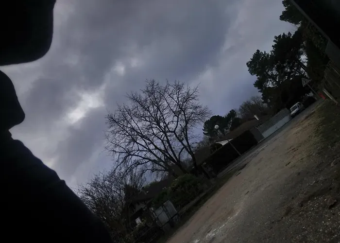 Bassin D'arcachon - - Lejlighed