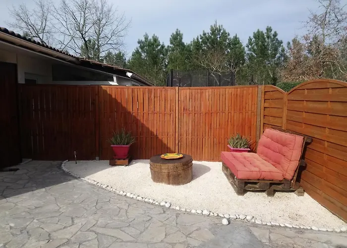 Bassin D'arcachon - - Appartement