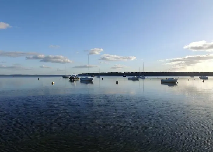 Bassin D'arcachon - - Ares