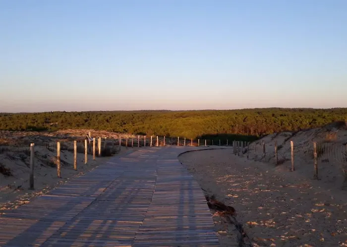 Bassin D'arcachon - - * Ares